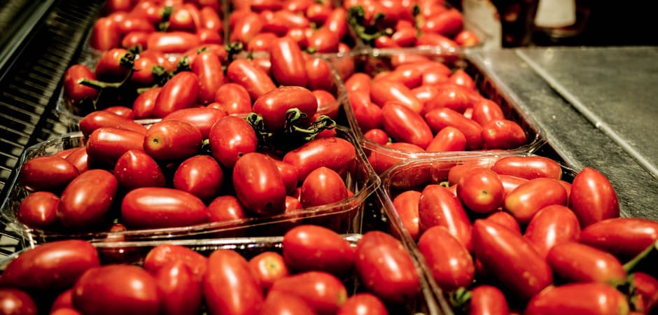 La qualità del Pomodoro San Marzano 2024 sarà altissima, ma la coltivazione fatica ad espandersi a causa dei costi e delle difficoltà climatiche.