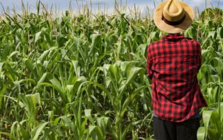 Firmato il rinnovo del Contratto Agricolo a Napoli: aumenti del 6%, premi produttività, più welfare e sostegno ai lavoratori migranti.