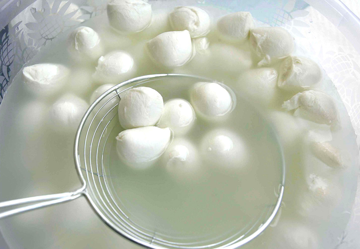 A Napoli, esperti e ricercatori si riuniscono per la prima conferenza internazionale sulla mozzarella di bufala DOP.