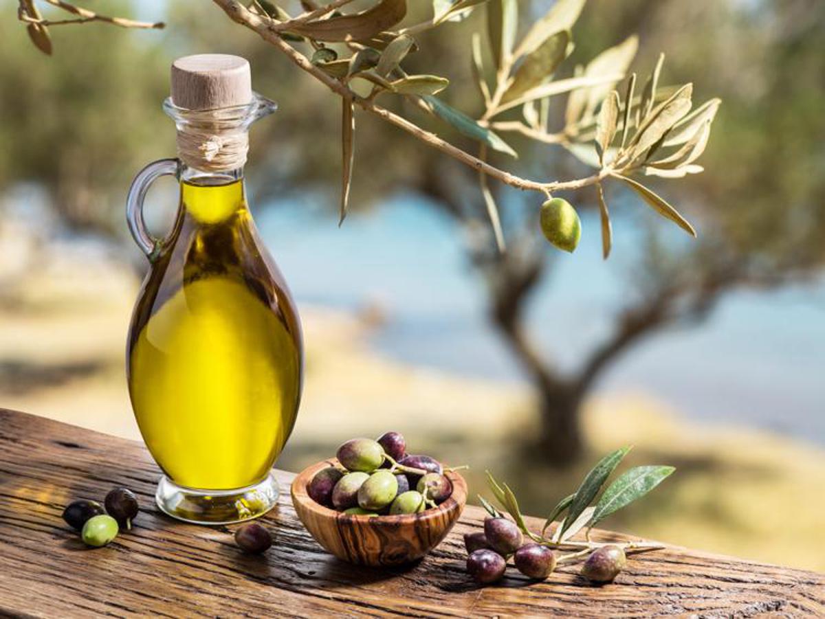 L'olio EVO della Campania punta a crescere nelle mense per diffondere qualità e sostenere le aziende olivicole.