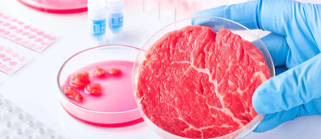 Il potenziale della carne coltivata in Europa può valere fino a 85 miliardi e creare migliaia di posti di lavoro entro il 2050