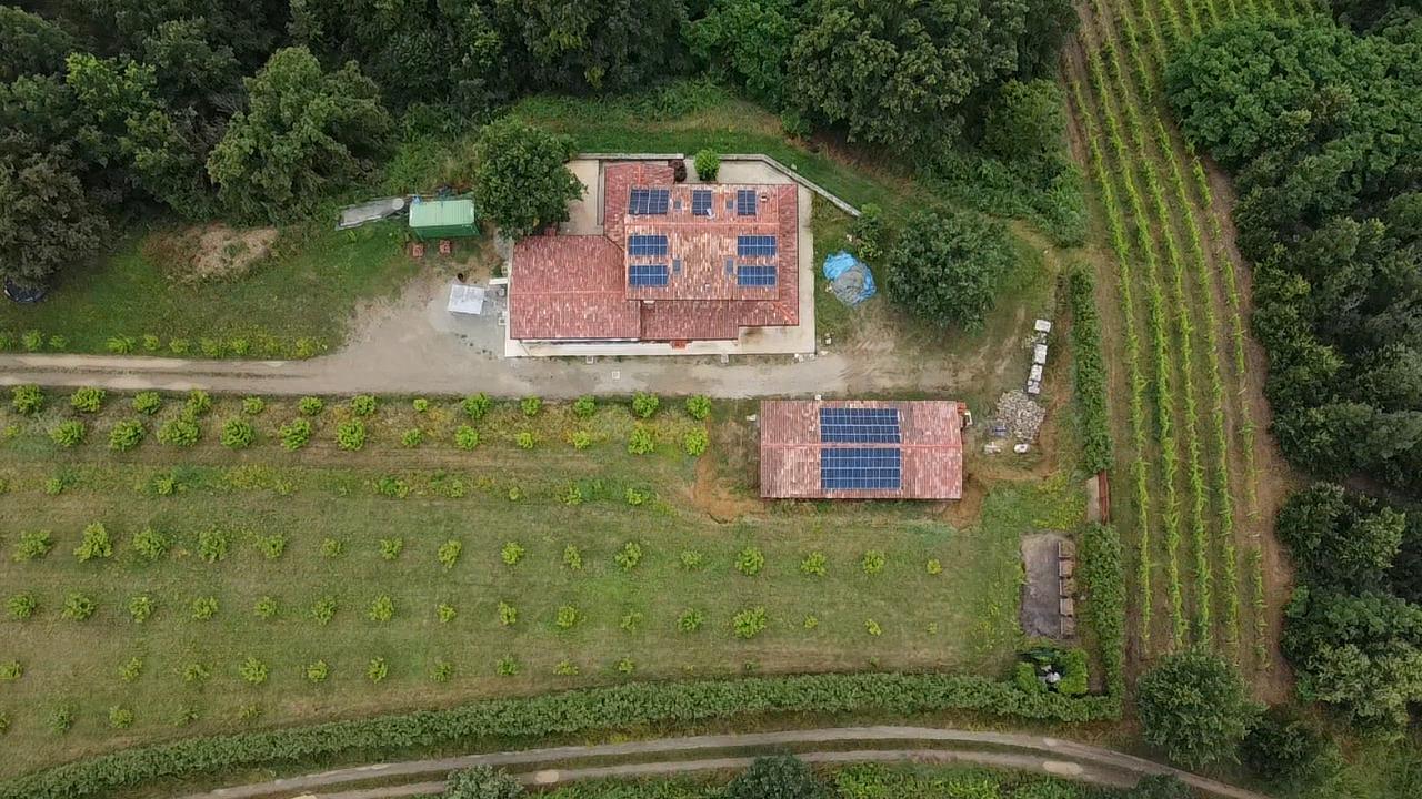 Consilium Comunicazione celebra la sua foresta nell’Alto Monferrato: gestione sostenibile e impegno per l’ambiente.